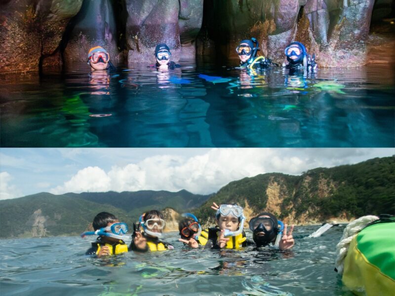 西伊豆・黄金崎にてダイビング＆スノーケリングツアー