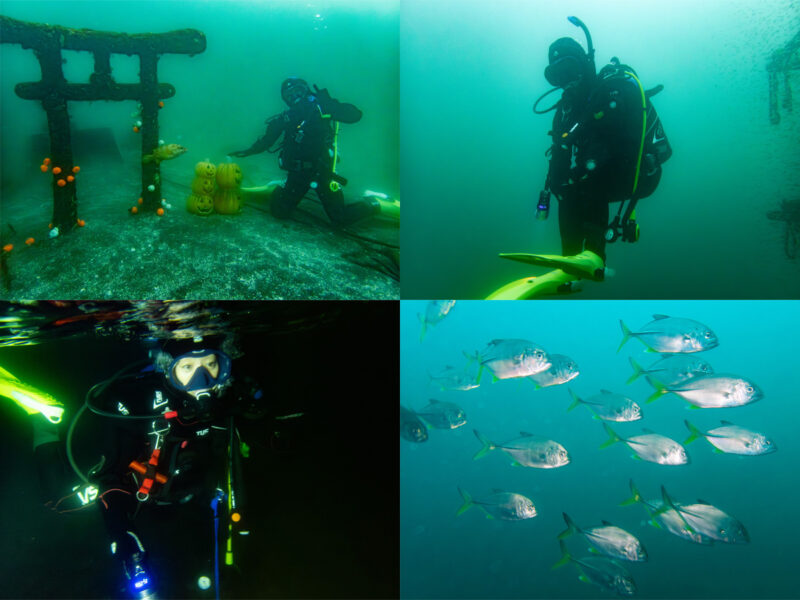 1泊2日・大瀬崎の大瀬館宿泊・アドバンスドオープンウォーターダイバー講習