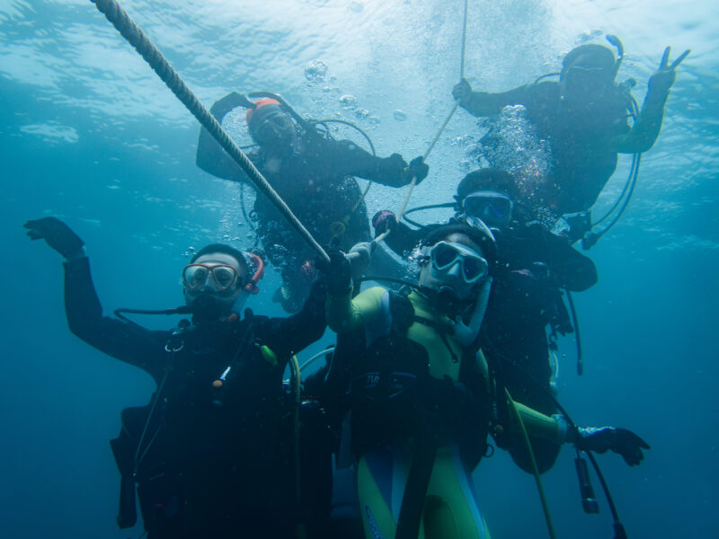 ２０２５年度　雲見・田子ツアーを開催しました♪