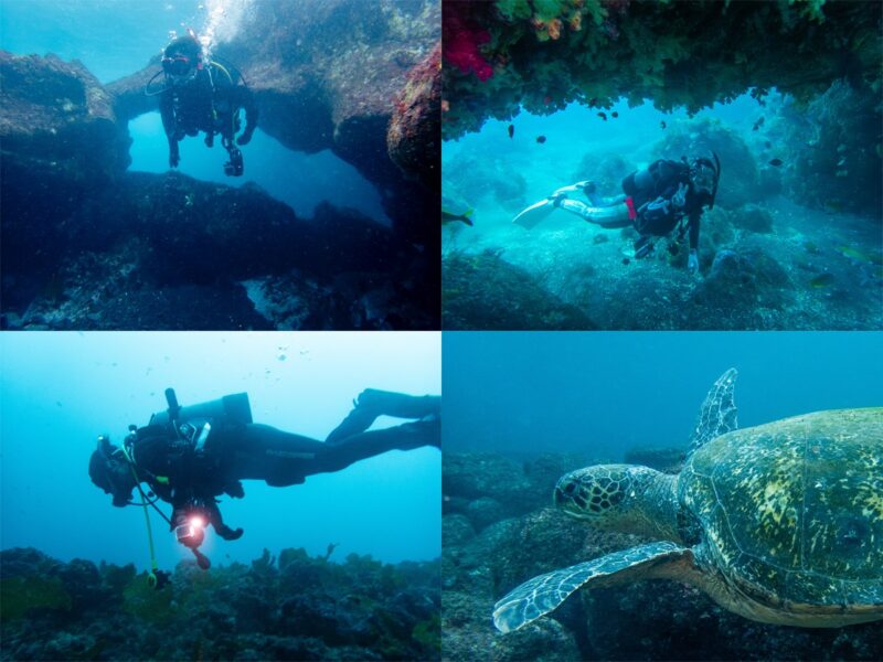 ２０２５年度　秋の伊豆大島ツアー