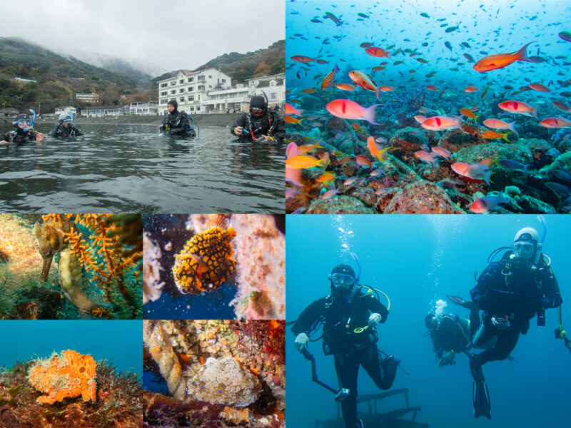 RED講習＆行き先未定１泊２日ミステリーツアー