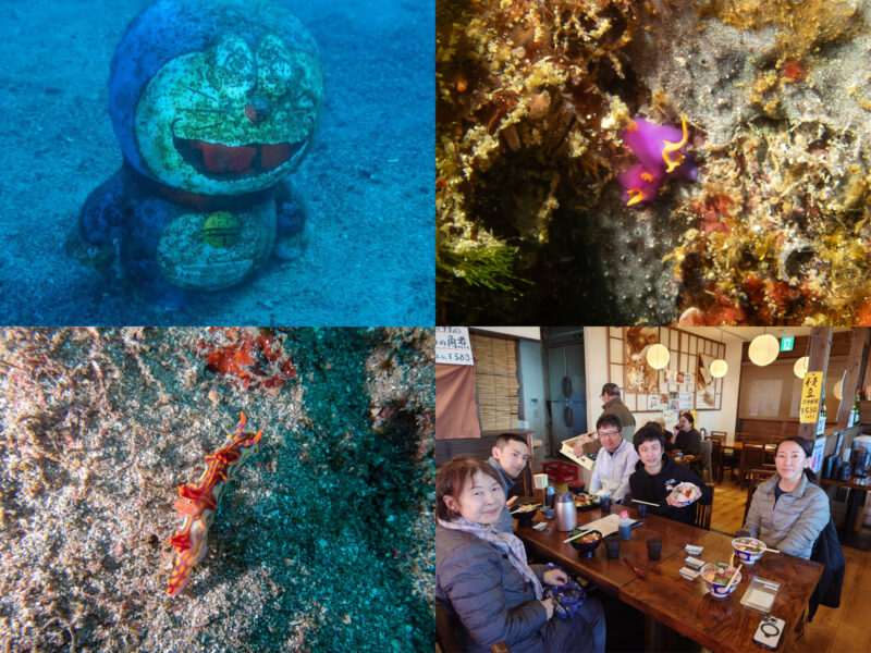 ２０２６年度・初潜り！ 江之浦ダイビングツアー！