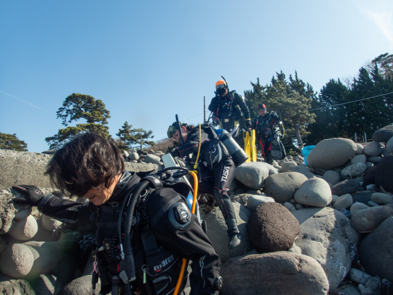 大瀬崎・ガイド研修ツアー