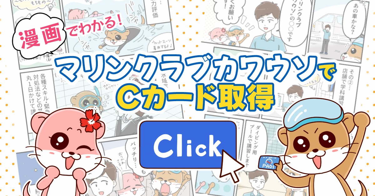 漫画で分かるマリンクラブカワウソでダイビングライセンス取得