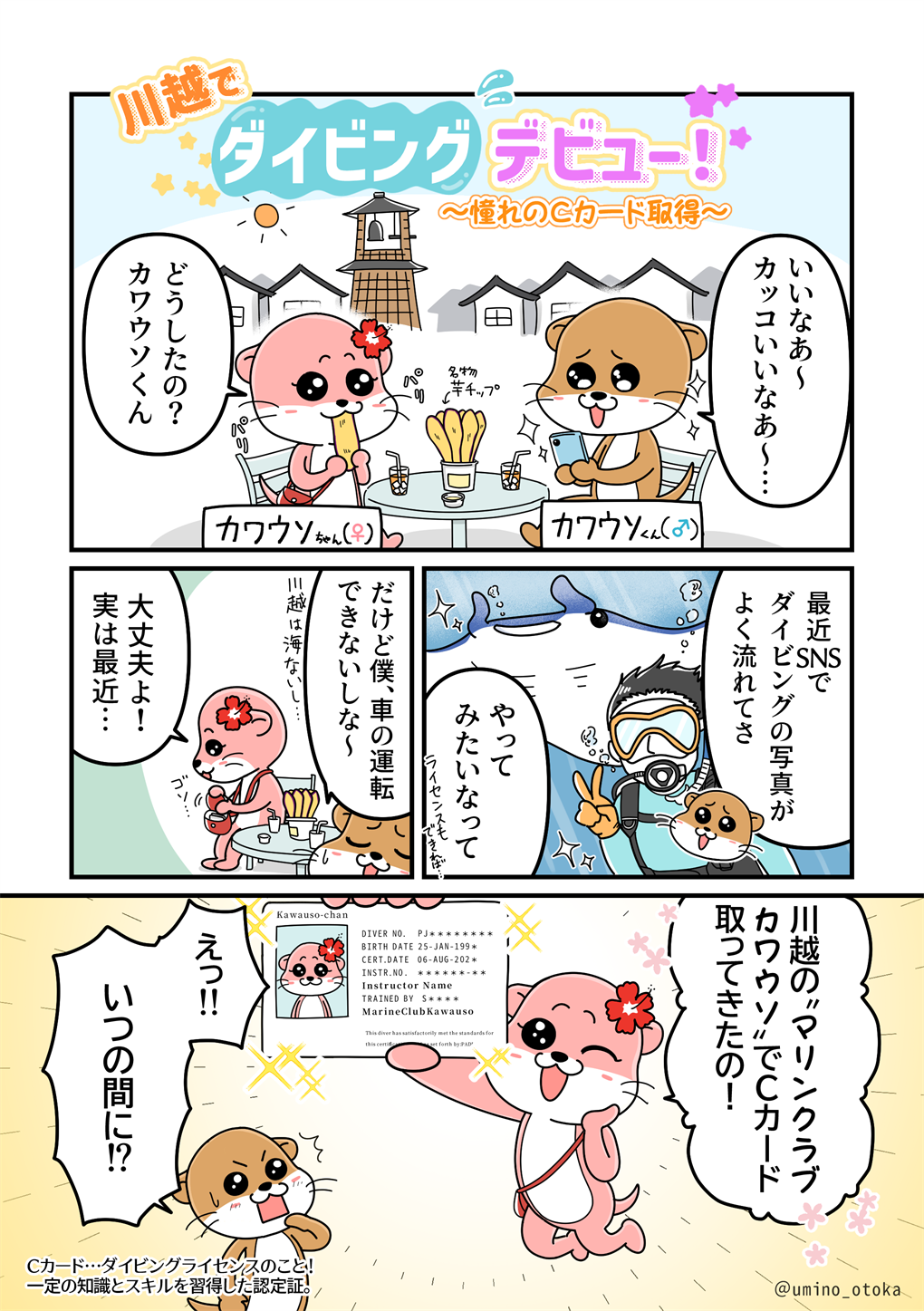 埼玉県川越市のダイビングショップでダイビングライセンスを取得しよう！