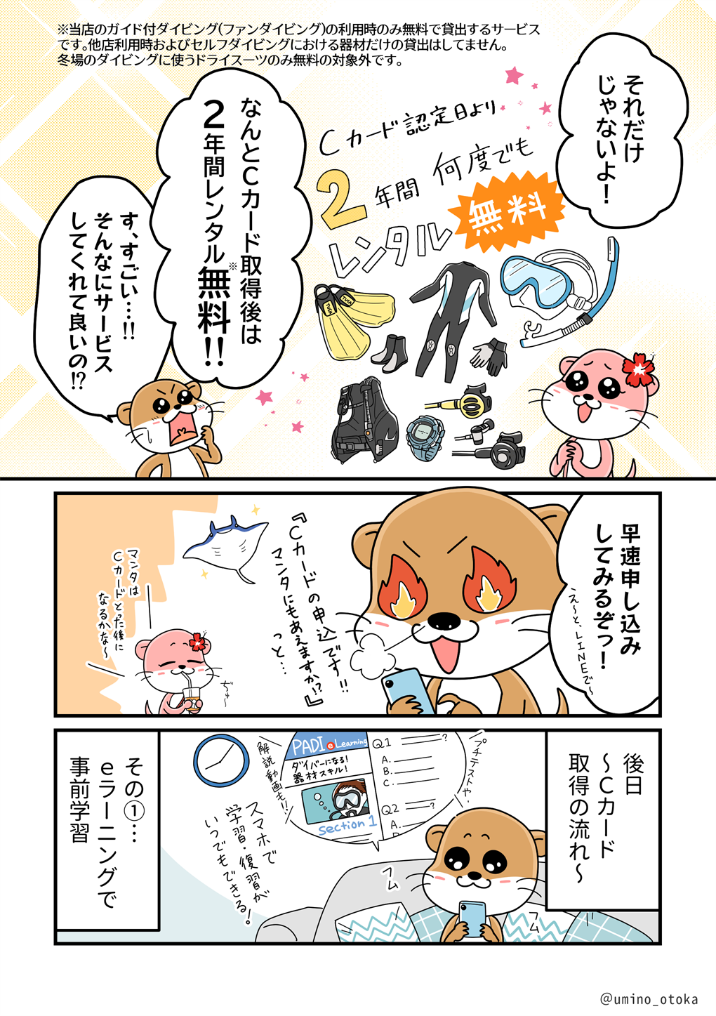 マリンクラブカワウソでダイビングライセンスを取得した方はレンタルが２年間も無料になるサービスが付帯します。