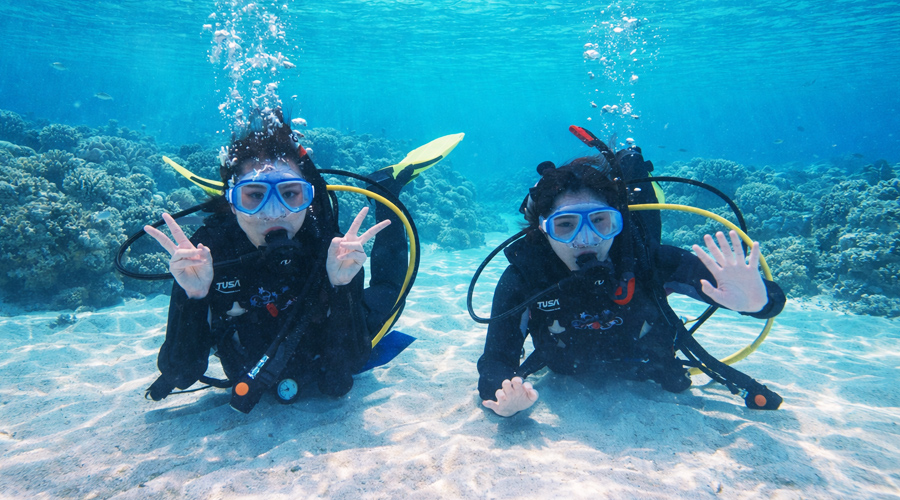 埼玉県発・体験ダイビング