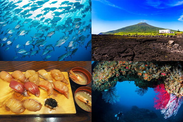 GWイベント・八丈島ダイビングツアー！<br>2泊4日の7ダイブ＆最終日は丸1日の島観光付き♪<br>竹芝ターミナルと羽田空港の無料送迎付きで快適な旅を♪