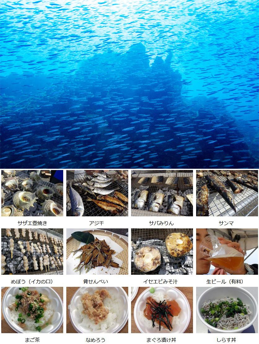 伊東2ボートダイビング + 海鮮BBQ食べ放題 + 宝探しイベント