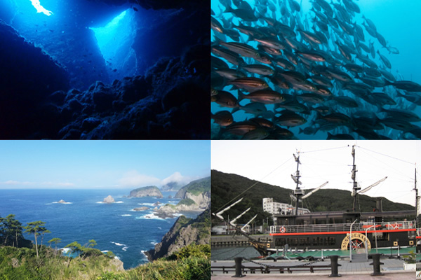 南伊豆の妻良・中木を潜ろう! 超遠征・秘境ドリフトダイビングツアー♪