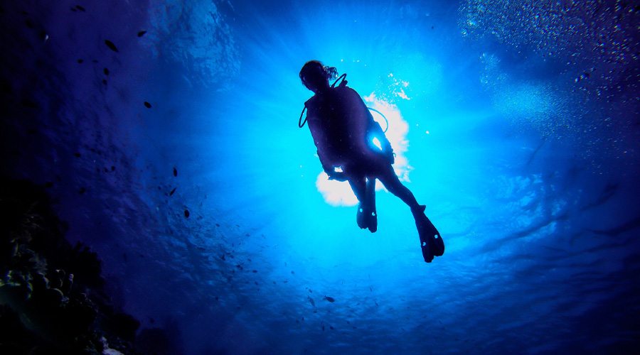 PADIマスタースクーバーダイバー