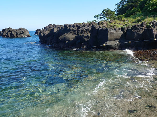 伊豆海洋公園