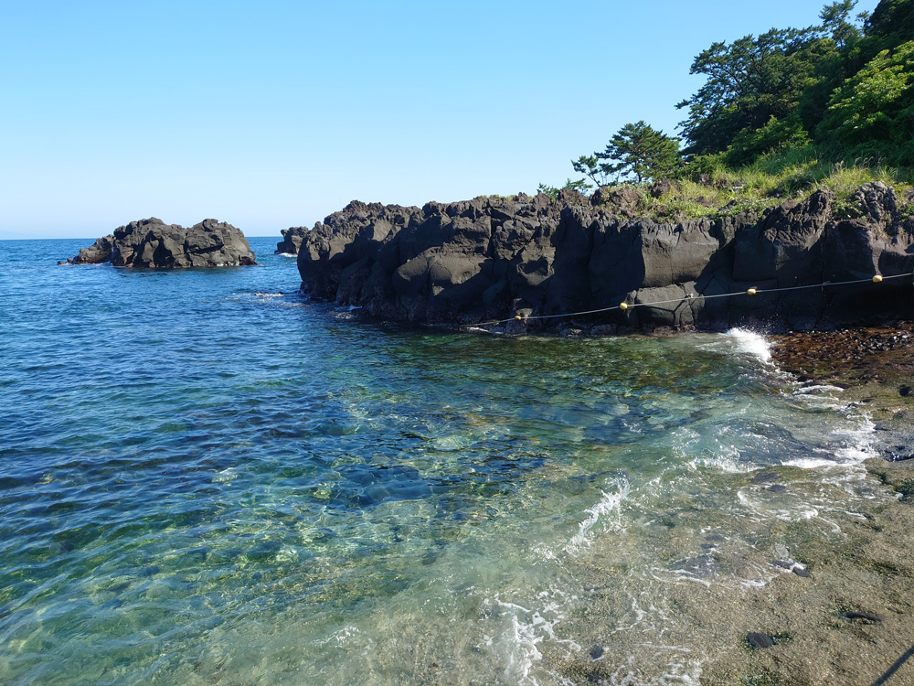伊豆海洋公園(Izu Kaiyo Koen)の写真5