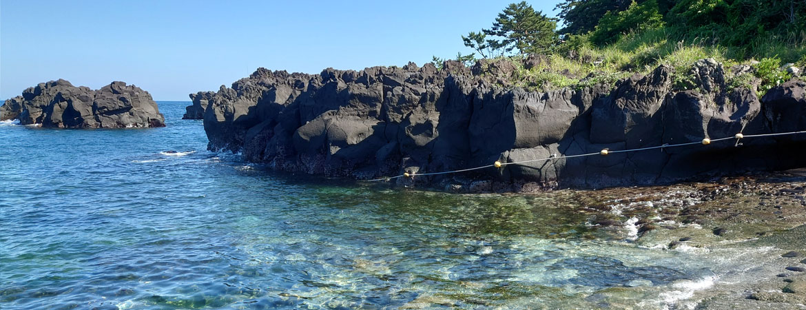 伊豆海洋公園(Izu Kaiyo Koen)