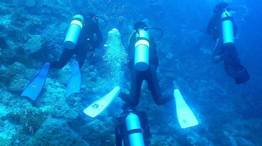 リフレッシュダイビング