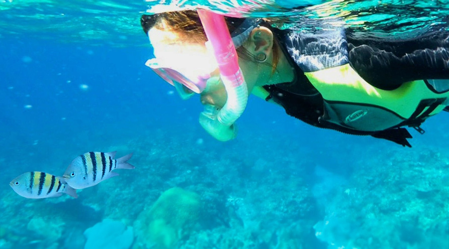 スノーケリングコース