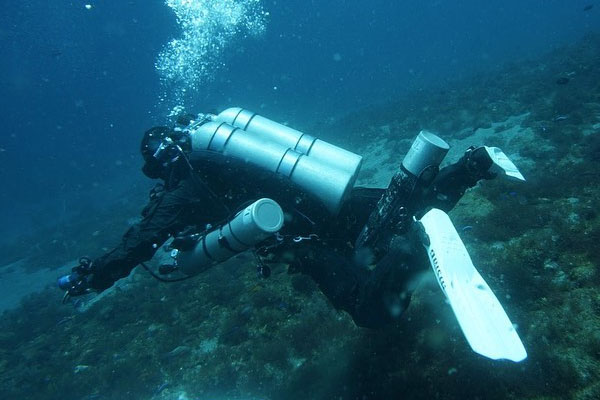 TAISHI KOSHIMURA (PADI.829721)